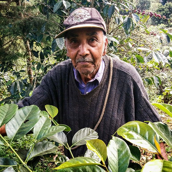 Finca Juana - El Salvador